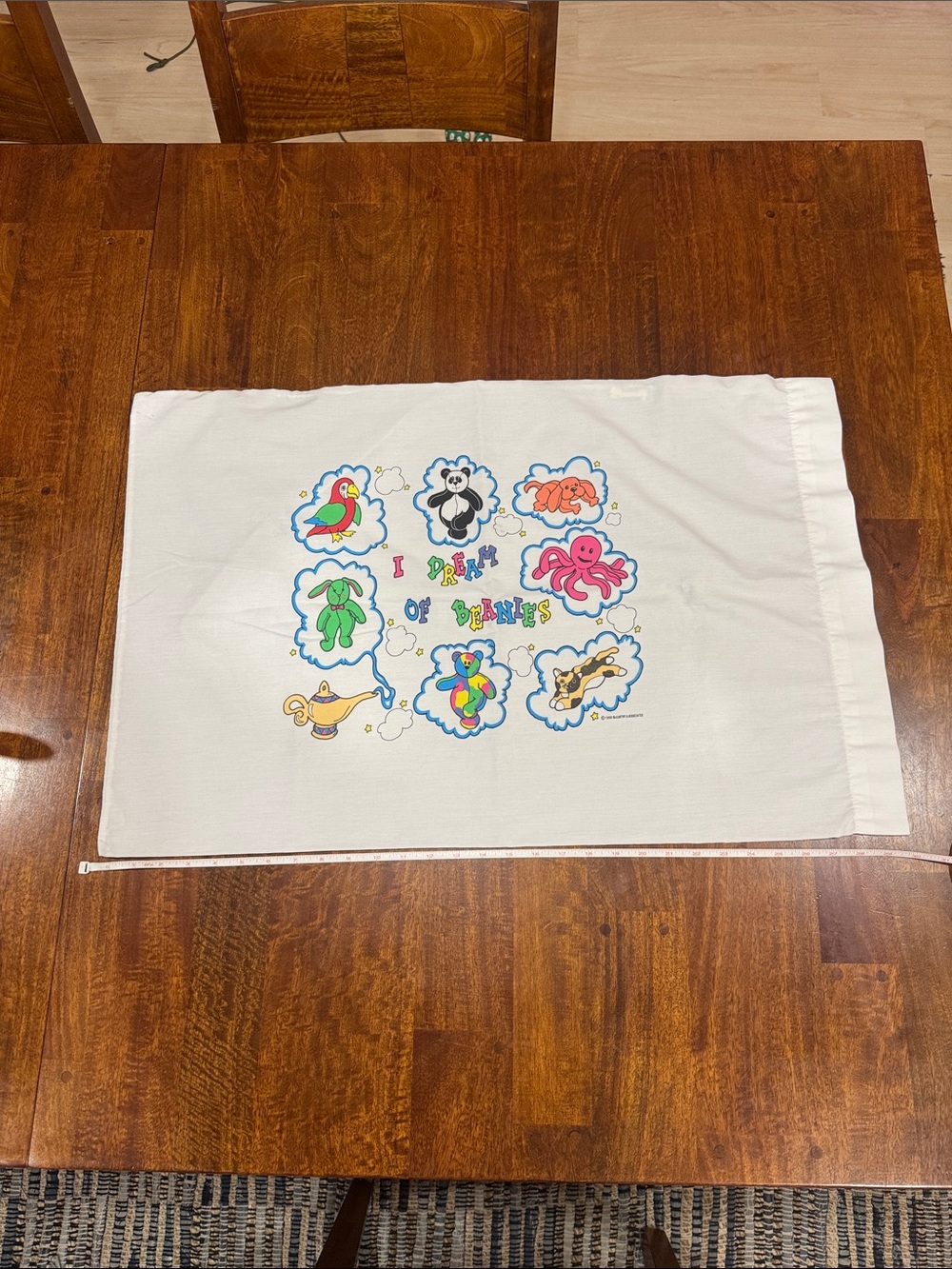 Vintage 90s “I Dream of Beanie” Pillowcase with Beanie Babies